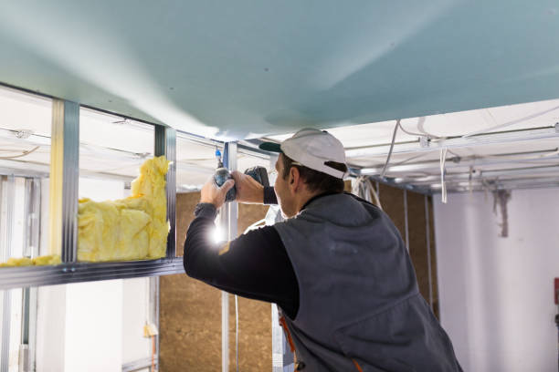 Best Insulation Contractors for Homes  in Frenchtown, NJ