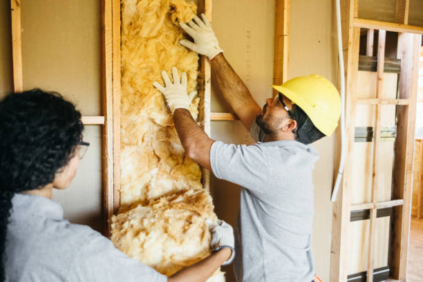 Best Insulation Contractor Near Me  in Frenchtown, NJ