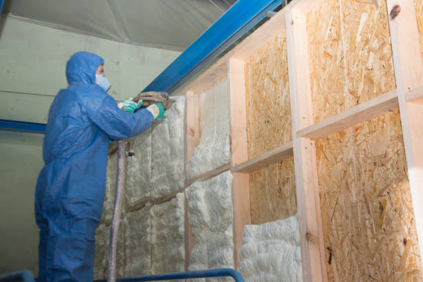 Best Crawl Space Insulation  in Frenchtown, NJ