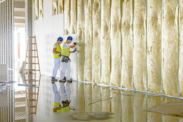 Best Local Insulation Services  in Frenchtown, NJ